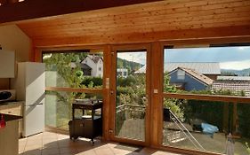 Grand Appartement A Gerardmer